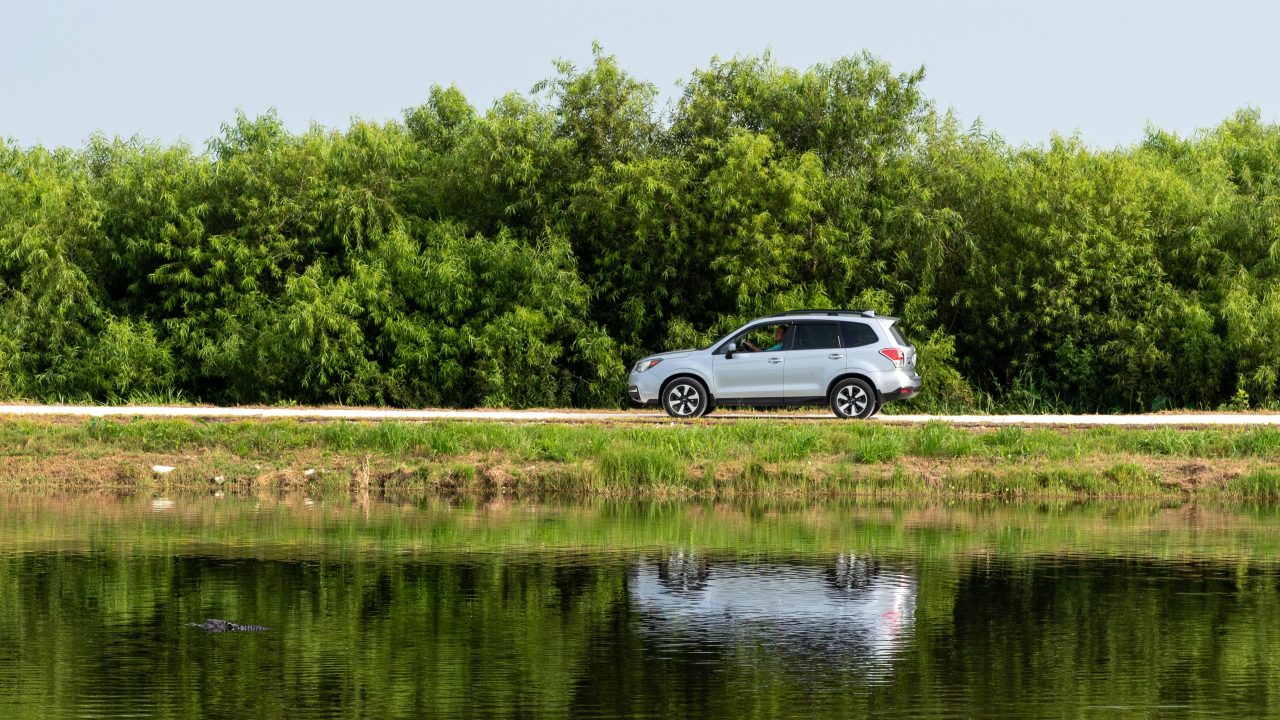 Cars driving on the wildlife drive