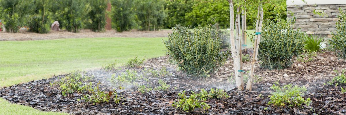 Garden bed being watered