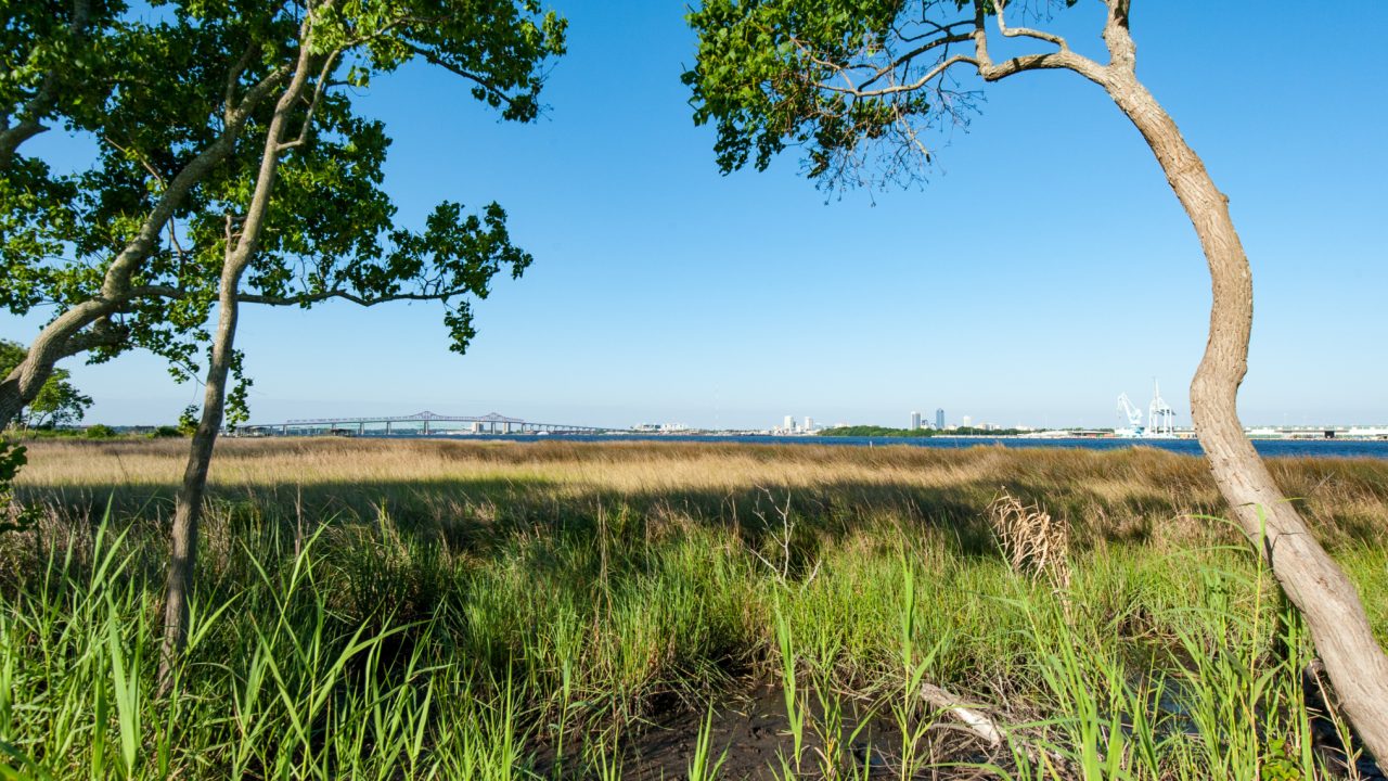 Jacksonville waterfront - St. Johns River - Near Kurzius Beach Jacksonville