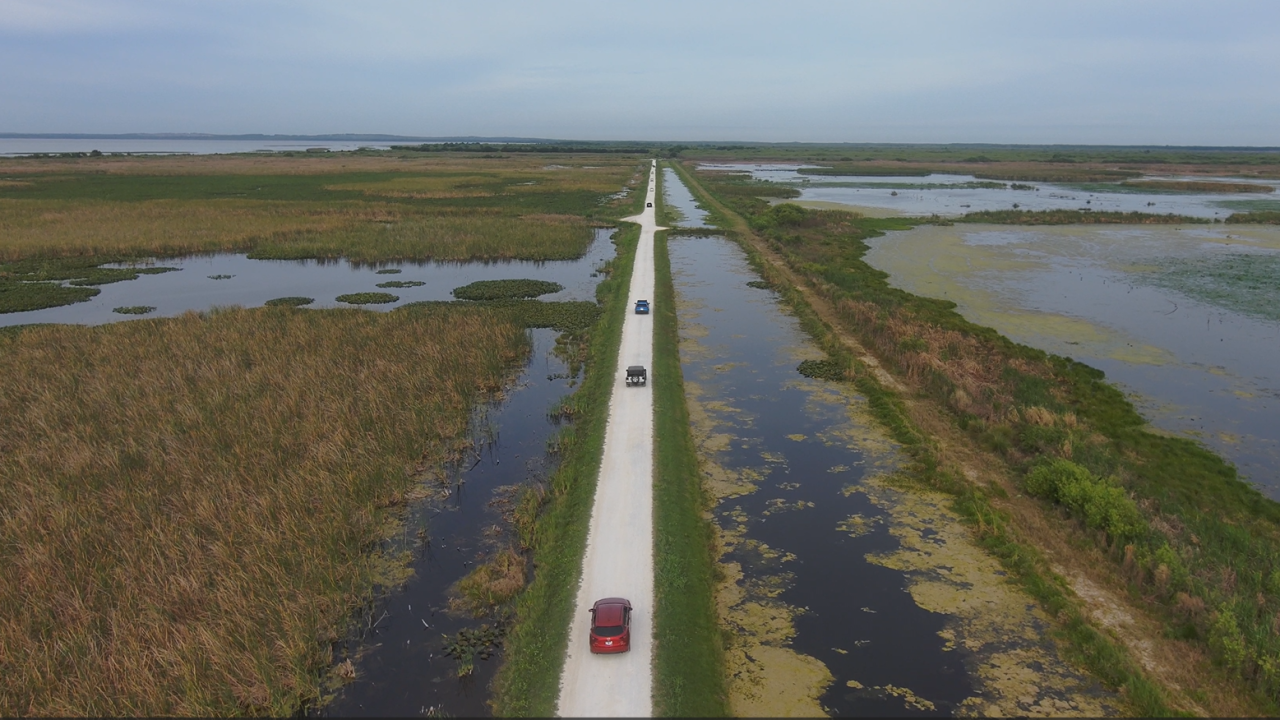 Aerial view of a straight, narrow road flanked by water-filled canals running through the wetlands and marshes of Lake Apopka Wildlife Drive, with three vehicles traveling along the route under an overcast sky.