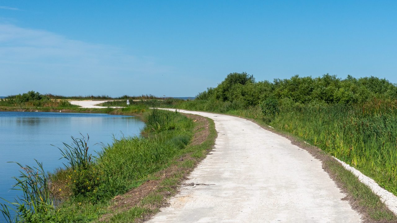 A portion of the roadway the Lake Apopka Wildlife Drive