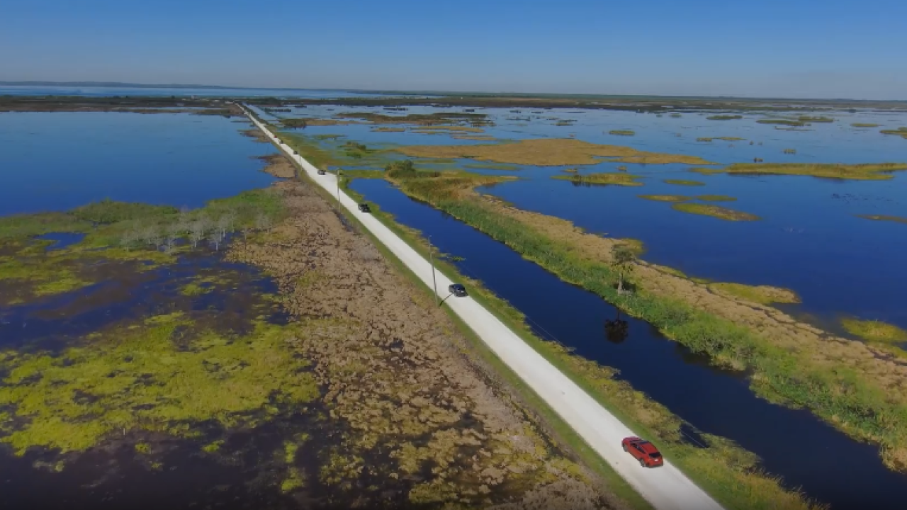LakeApopkaWildlifeDrive