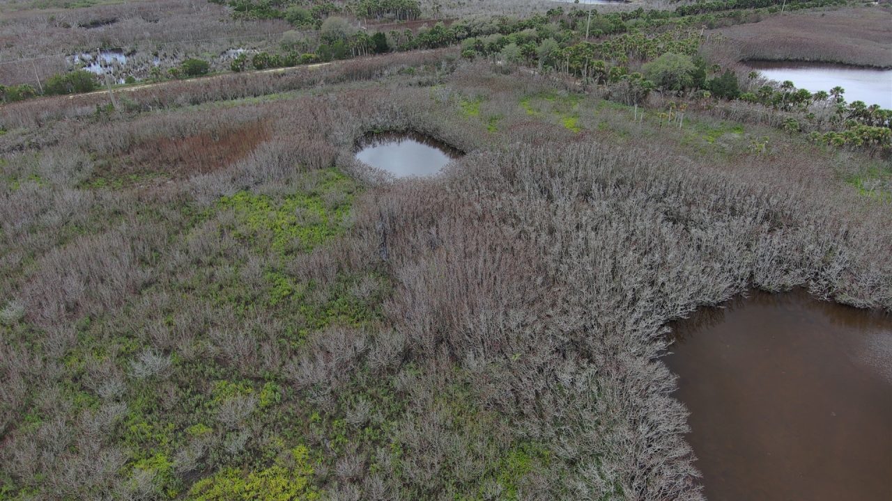 Aerial view of a coastal wetland in a water management district, showing dense gray-brown vegetation, small open-water ponds, and patches of bright green marsh plants indicating varying habitat and water conditions.