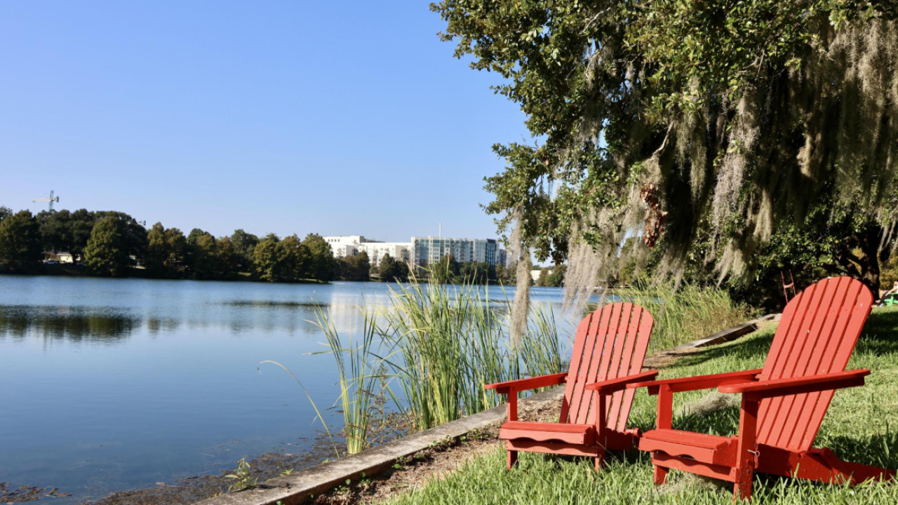 Two red Adirondack chairs sit on a grassy shoreline beside a calm urban lake, framed by shoreline reeds and a large moss-draped tree in the foreground, with a line of trees and mid-rise buildings visible across the water under a clear blue sky.