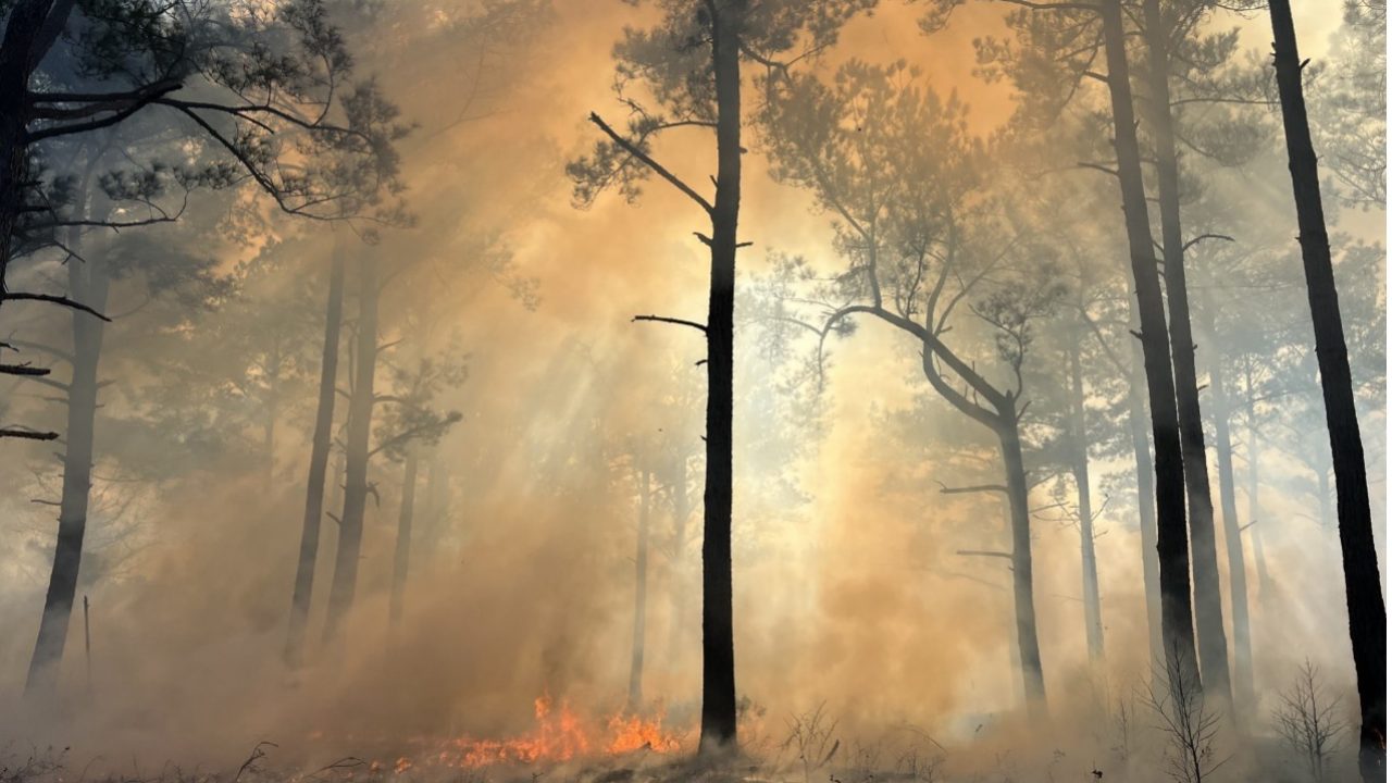 Prescribed-fire-at-Bayard
