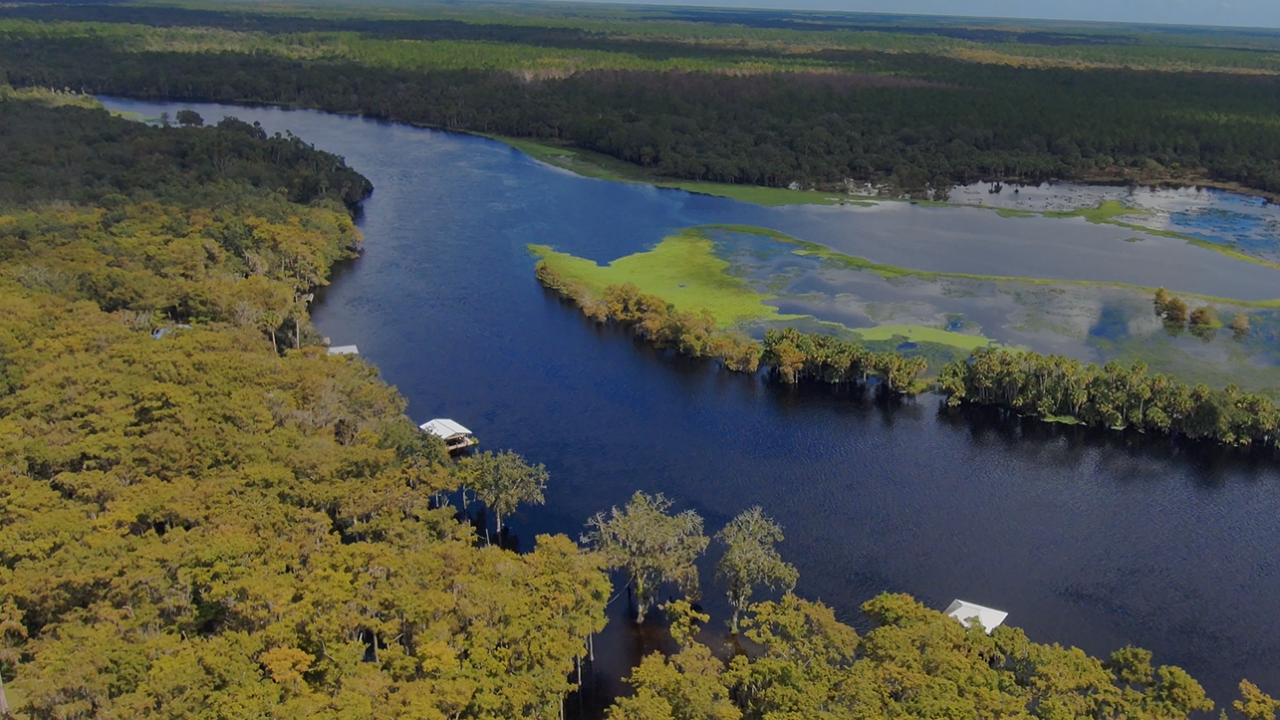 Aerial view of a dark-blue river bend in the Middle St. Johns River Basin, bordered by dense forested floodplain on the left and a broad wetland with bright green vegetation and shallow standing water on the right, under a clear sky.