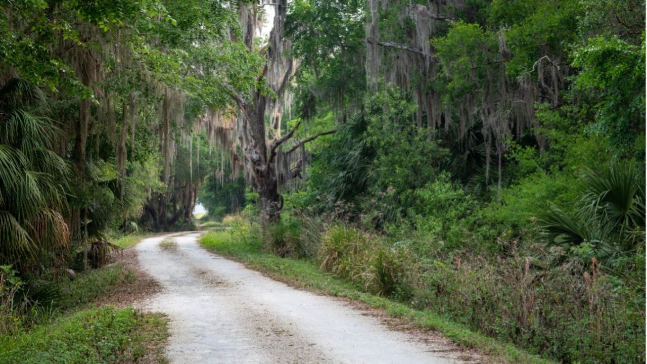 Seasonal-Interpretive-Drive-Emeralda-Marsh