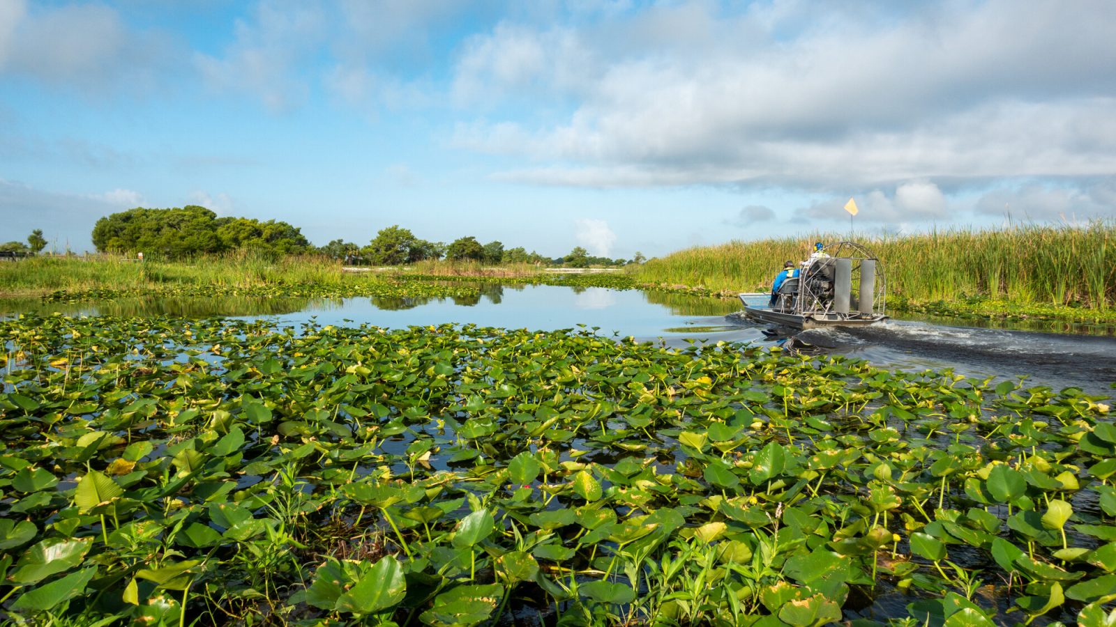 An airboat travels across the Blue Cypress Conservation Area near the State Road 512 boat ramp, where visitors can enjoy boating, fishing and scenic views of one of the District’s premier recreation sites.