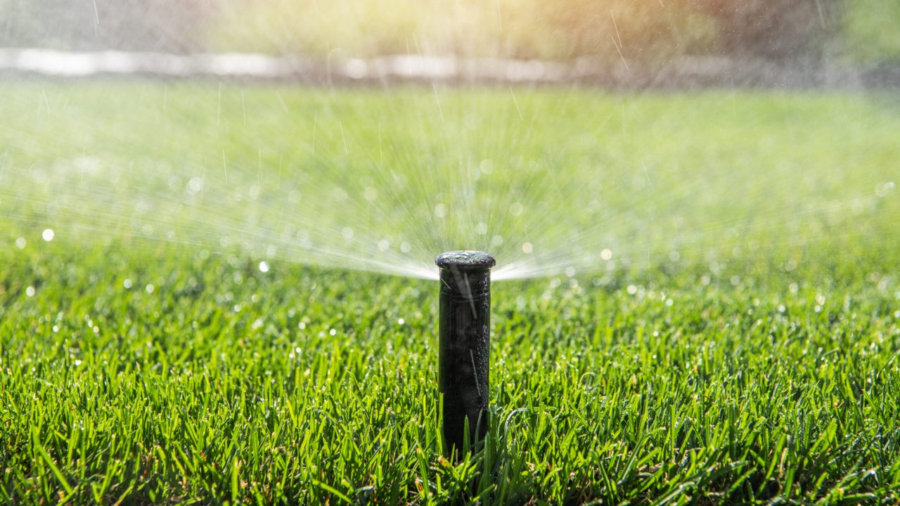 Automatic Garden Sprinkler. Backyard Watering Technology.
