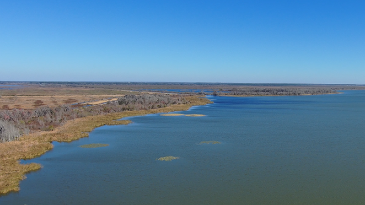 Aerial view of a large lake with marshy shoreline, sparse aquatic vegetation, and flat, open land with scattered trees under a clear blue sky.