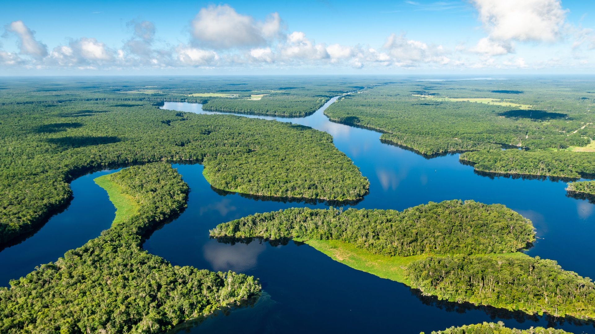 Aerial view of a winding river flowing through dense green forest in a broad floodplain landscape under a blue sky with scattered clouds.