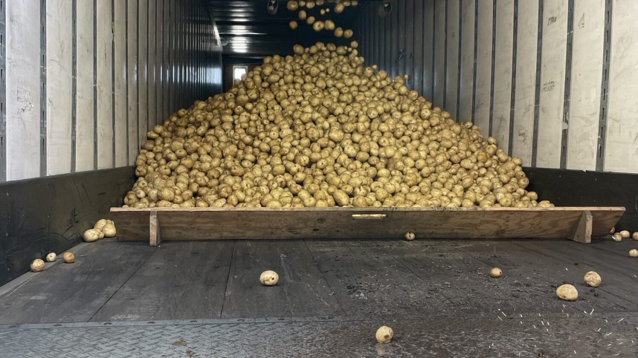 potatoes going on truck