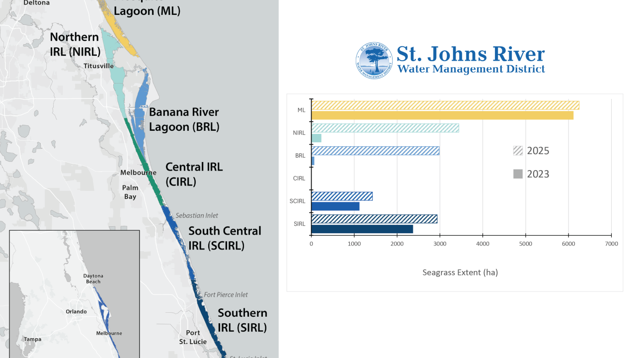 Map of the Indian River Lagoon showing labeled sub-basins from Mosquito Lagoon south to Jupiter Inlet, alongside a St. Johns River Water Management District bar chart comparing 2023 and 2025 seagrass extent (hectares) in each lagoon segment.