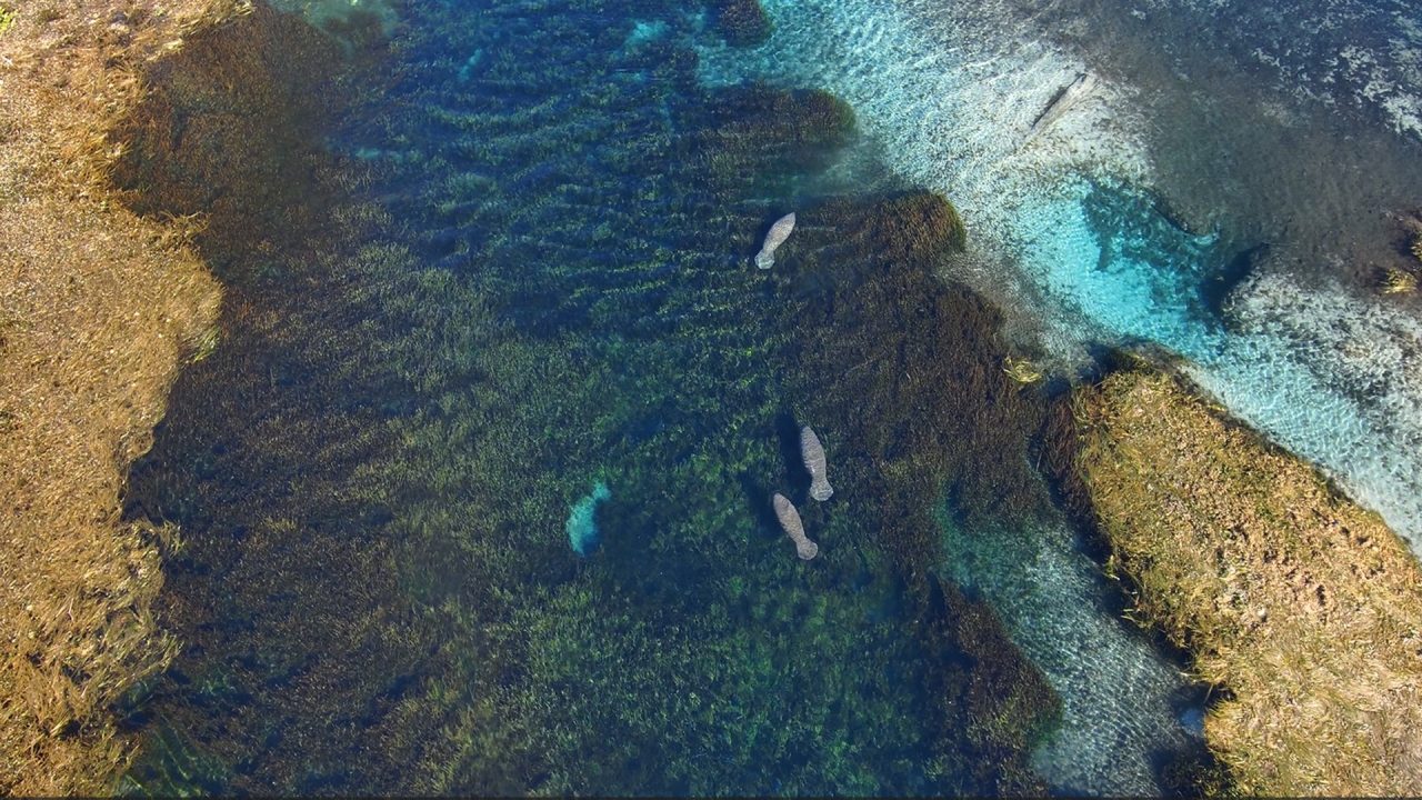 silver-springs_1920x1080