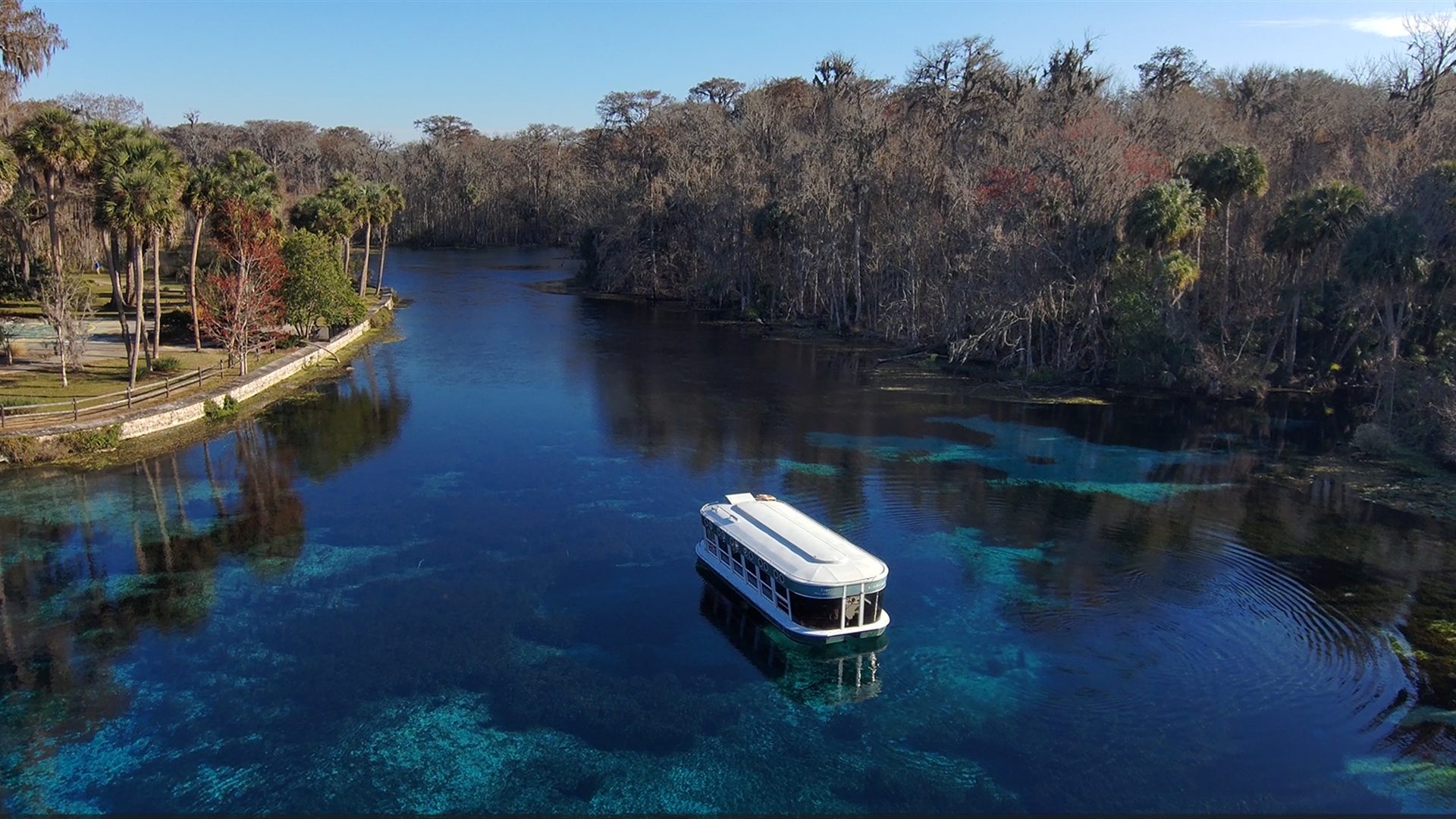 A glass-bottom tour boat floats on the clear blue water of a spring-fed river, with a grassy shoreline, palm trees, and forested wetlands in the background under a bright blue sky.