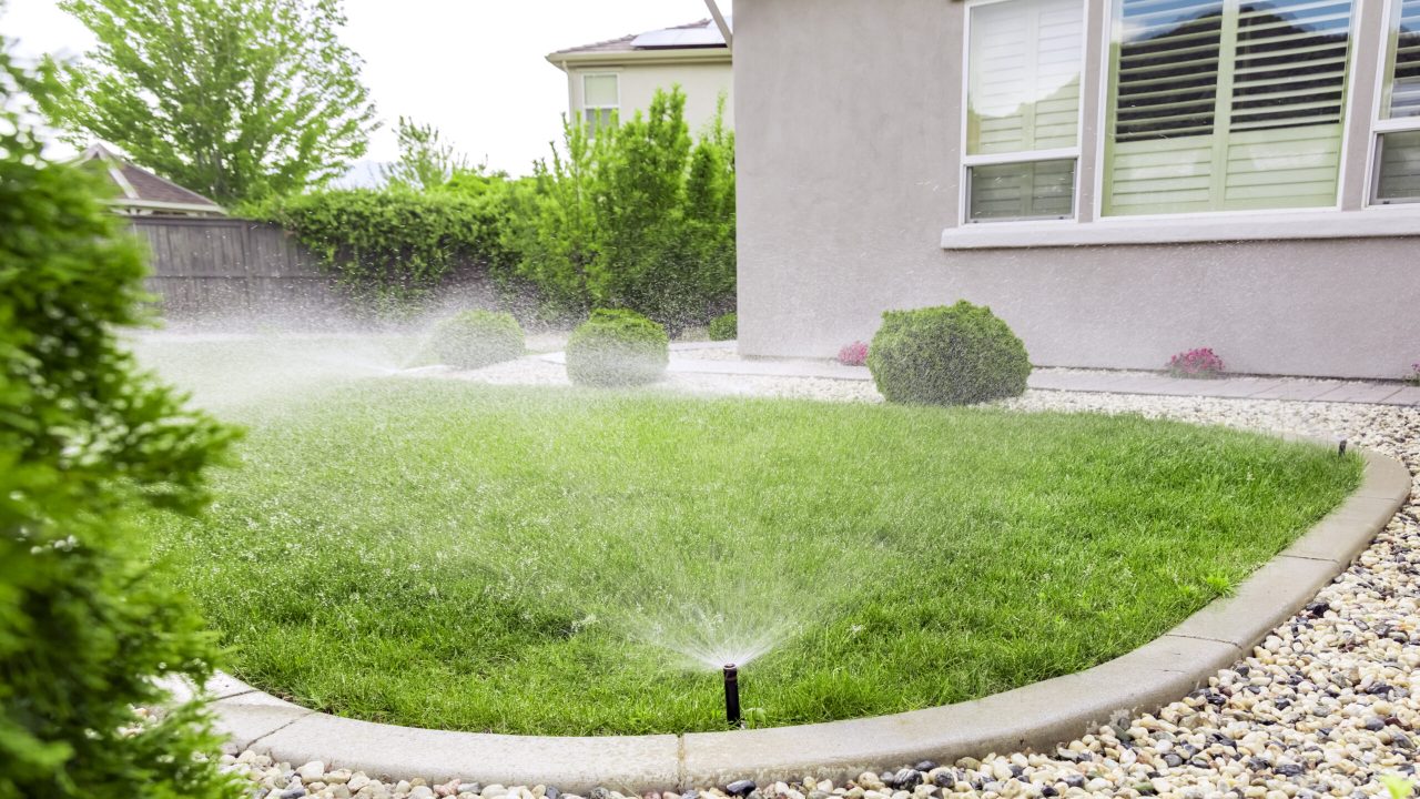 sprinklers-watering-lawn-2025-01-29-03-55-25-utc